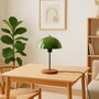 Opviq Lámpara de Mesa AYD-2796 Verde